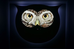 ekspozycja ekocentrum